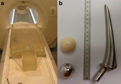 Farshad-Amacker et al_September 2018