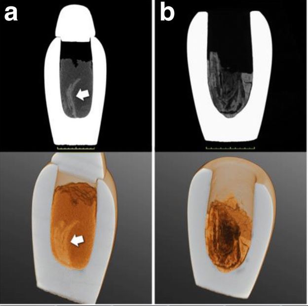 Fig4a,b Eppenberger et al Nov