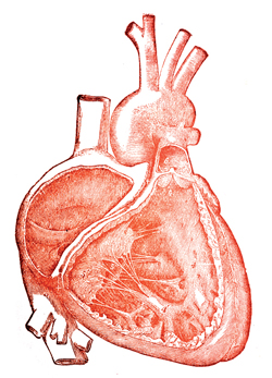 Heart from image pool