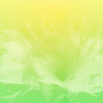 Single-blinded peer review from January 2023 onwards