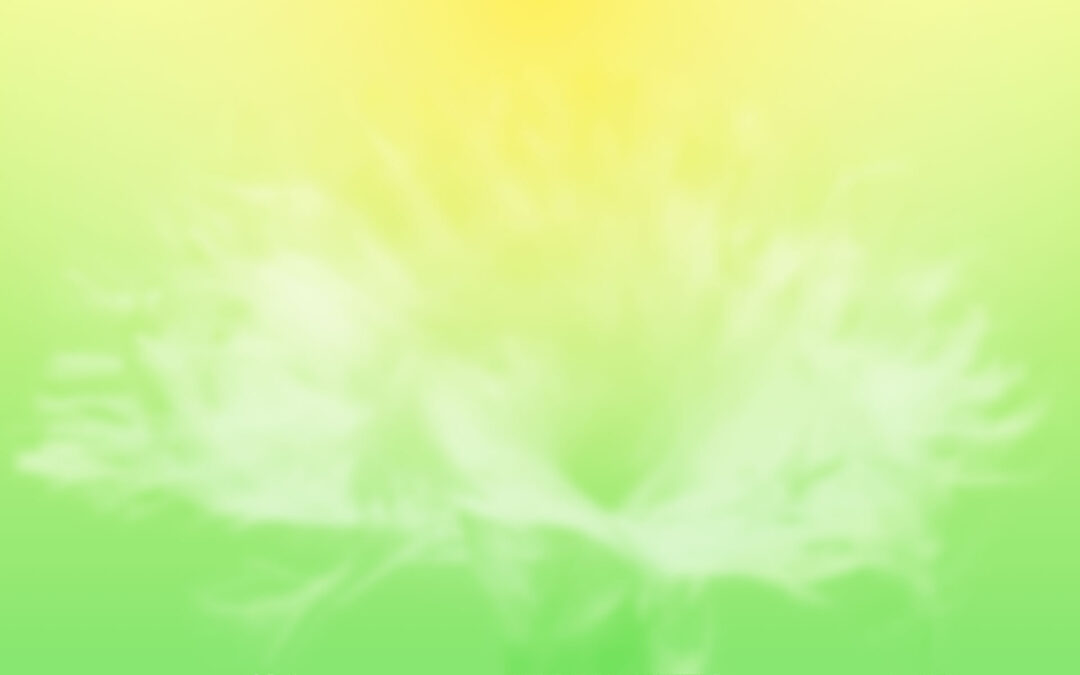 In vitro labelling and detection of mesenchymal stromal cells: a comparison study