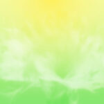 In vitro labelling and detection of mesenchymal stromal cells: a comparison study