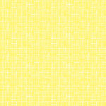 Meet the Editorial Board – Elisabeth Morris