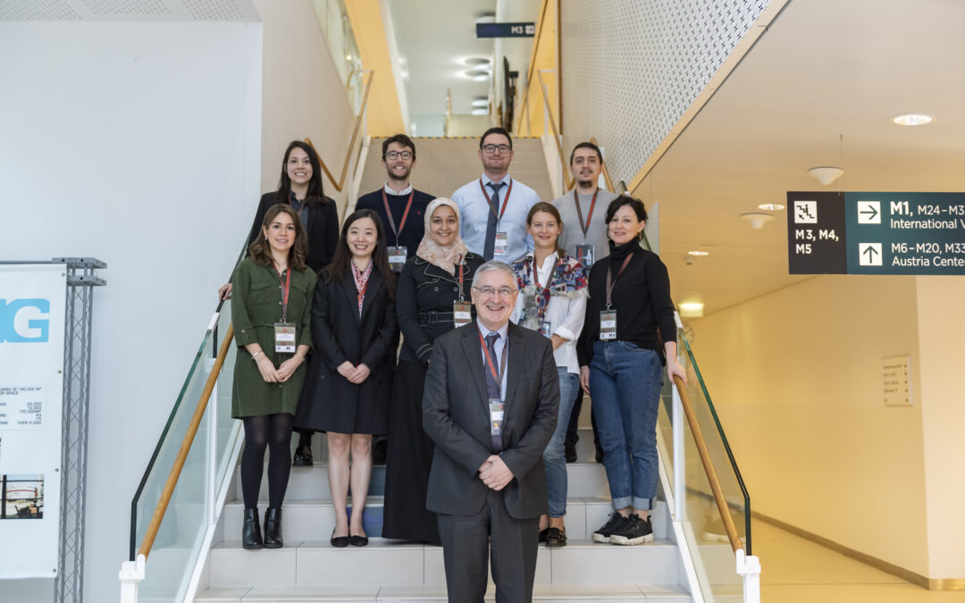 European Radiology Review Fellowship