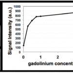 Reply to: Are all questions about the safety of MRI contrast agent answered?