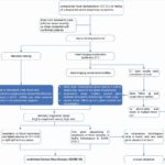 Letter to the Editor: Chest CT and RT-PCR: radiologists’ experience in the diagnosis of COVID-19 in China