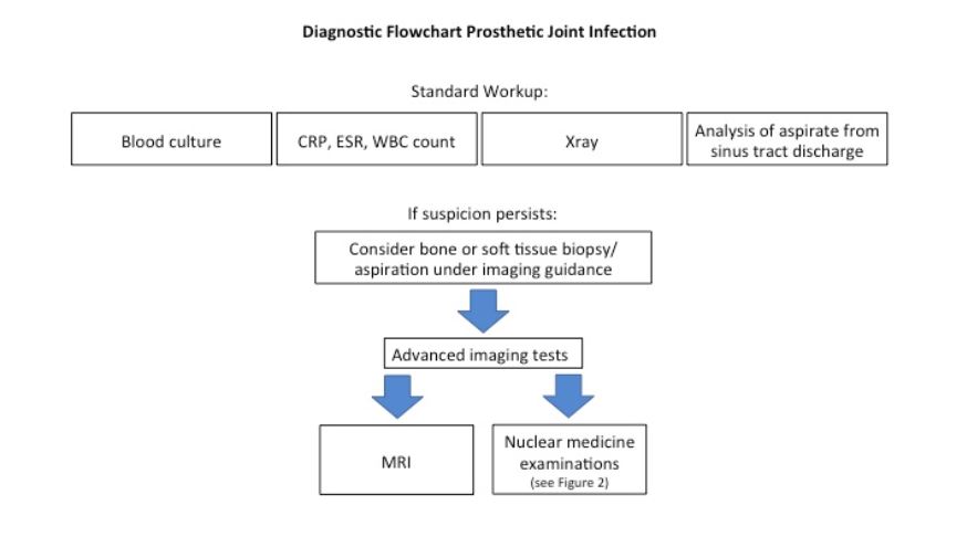 Infection of bone and joint prosthetic material: an imaging challenge