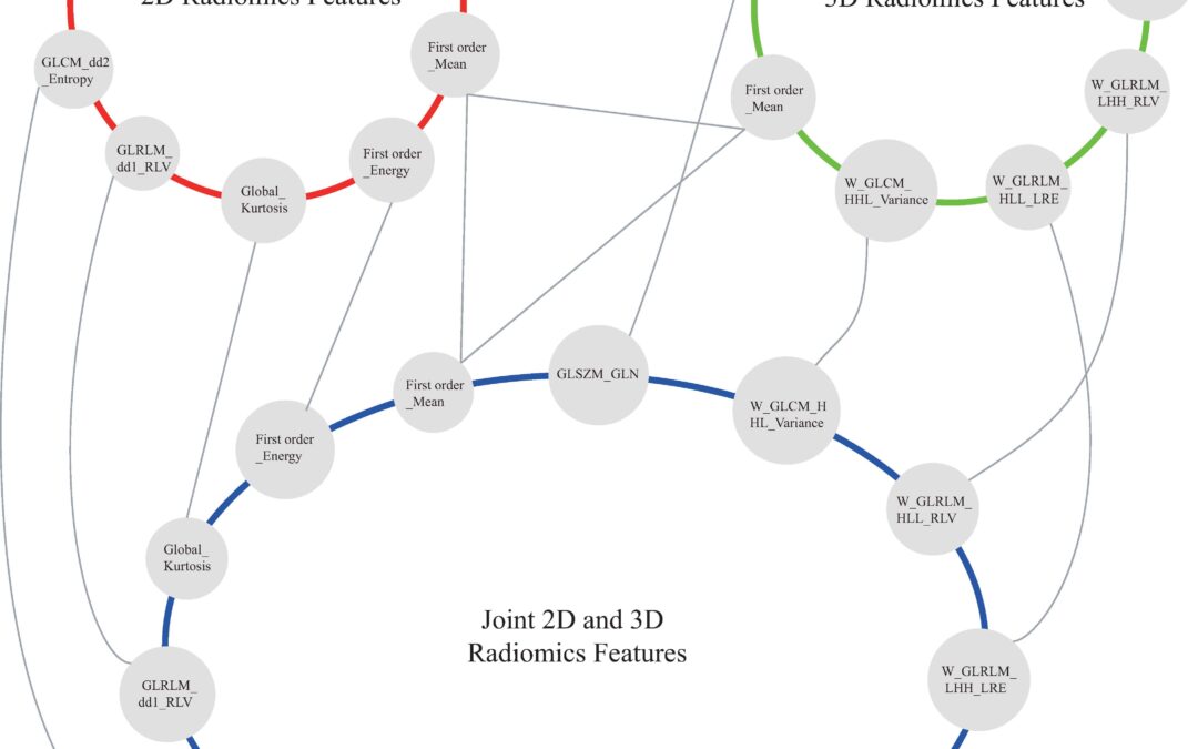 Predicting survival in lung cancer with CT