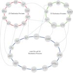 Predicting survival in lung cancer with CT