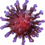 Latest articles on COVID-19