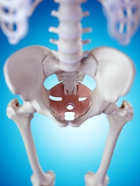 Joint ESUR & ESGAR recommendationsfor reporting of pelvic floor dysfunction (PFD)