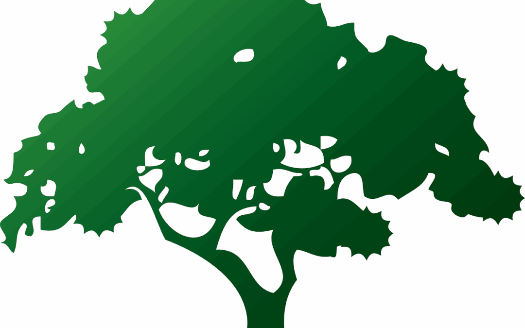 Online-only as of 2021