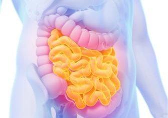 The importance of enterocutaneous fistulas imaging