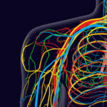 A panorama of radial nerve pathologies- an imaging diagnosis: a step ahead