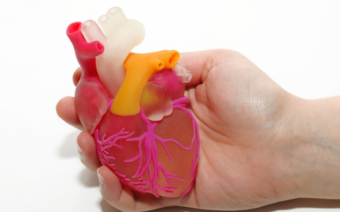 Phenotypes of hypertrophic cardiomyopathy. An illustrative review of MRI findings