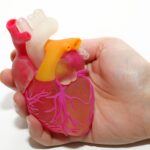 Phenotypes of hypertrophic cardiomyopathy. An illustrative review of MRI findings